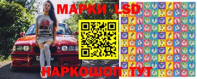 прущие крисы Кандалакша