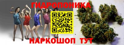 MESCALINE Камышлов
