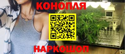 прущие крисы Кандалакша