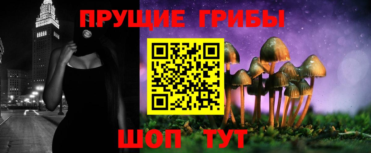 Псилоцибиновые грибы ЛСД Коммунар
